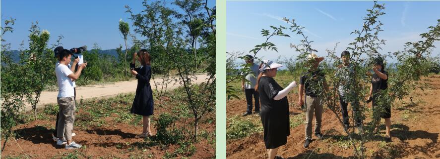 271630034721205308.jpeg 271630034721205308.jpeg