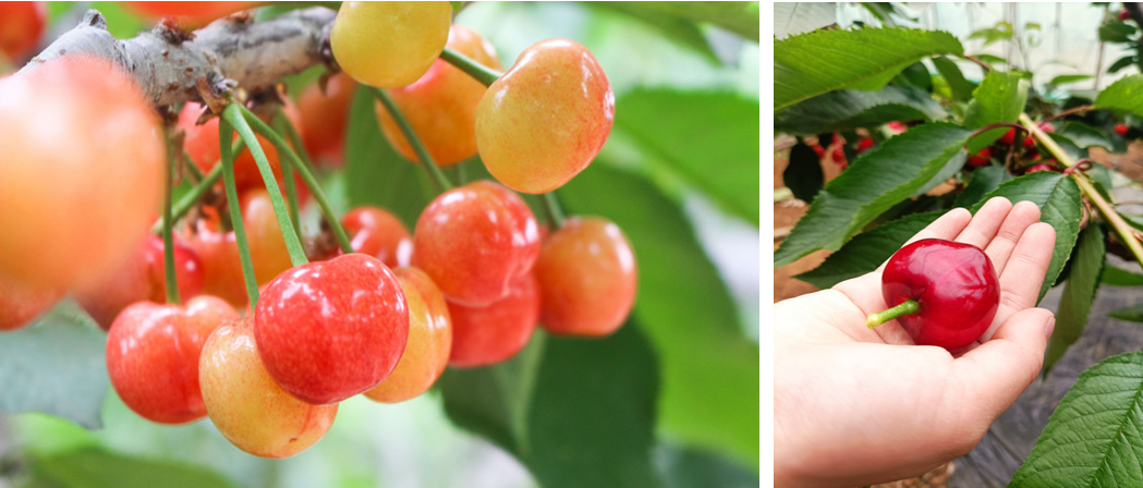 171655436856622635.png 171655436856622635.png