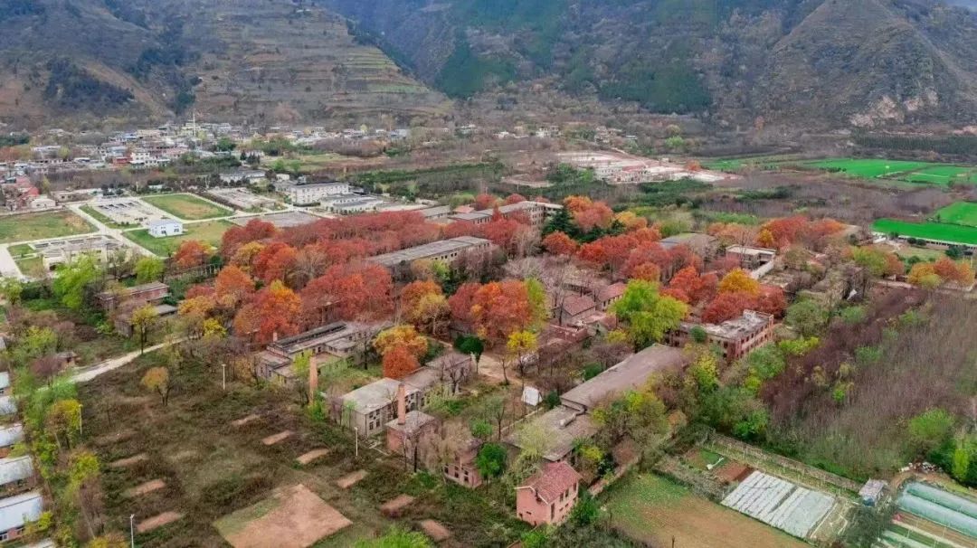 081746680427803033.jpeg 081746680427803033.jpeg