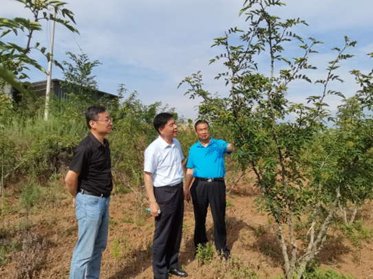 鄉(xiāng)村振興工作動(dòng)態(tài)(第135期)