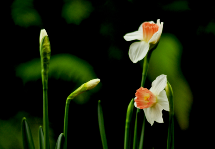 大家都做生態(tài)文明建設(shè)的實踐者、推動者（生態(tài)論苑）