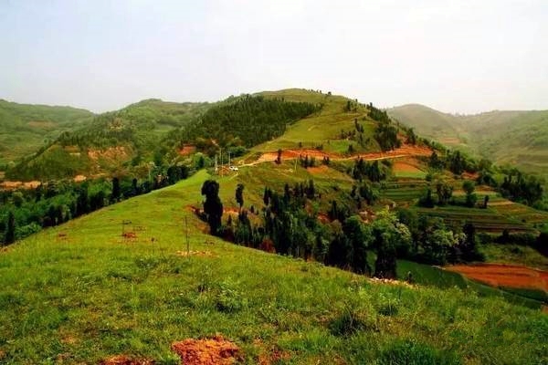 鄉(xiāng)村振興工作動(dòng)態(tài) (第141期)