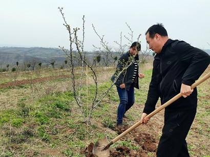 扶貧工作動(dòng)態(tài)(第133期)