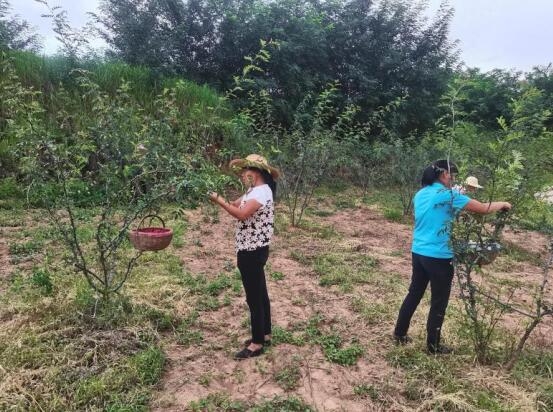 扶貧工作動態(tài)(第125期)