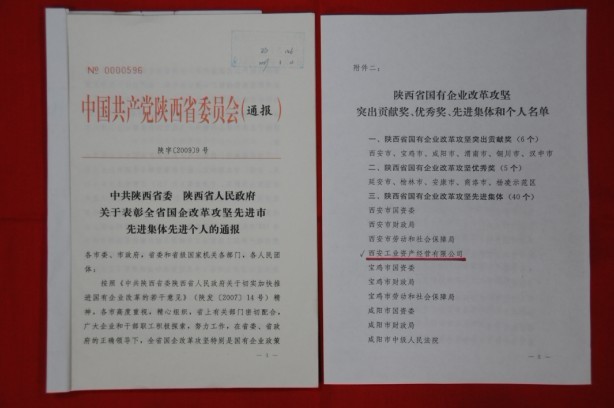 2009年2月，被陜西省委、省政府授予陜西省國有企業(yè)改革攻堅先進集體