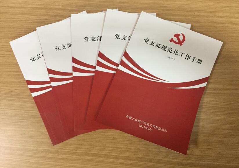 公司黨委著力推進(jìn)基層黨建工作系列報(bào)道(之四)