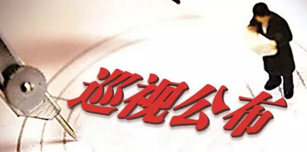 中共西安工業(yè)資產(chǎn)經(jīng)營(yíng)公司黨委 關(guān)于巡視整改情況的通報(bào)