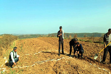 扶貧工作動(dòng)態(tài)(第八十三期)