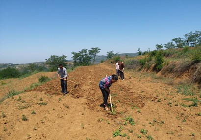 扶貧工作動(dòng)態(tài)(第八十七期)