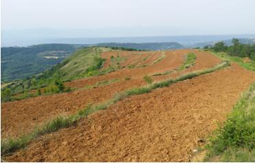 扶貧工作動(dòng)態(tài)(第八十八期)