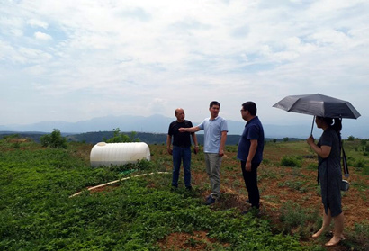 扶貧工作動(dòng)態(tài)(第九十期)