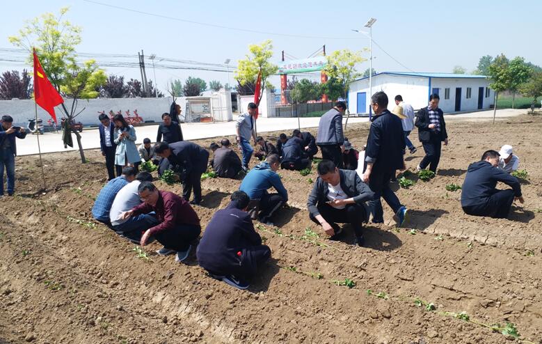 1556068842418742.jpg 1556068842418742.jpg