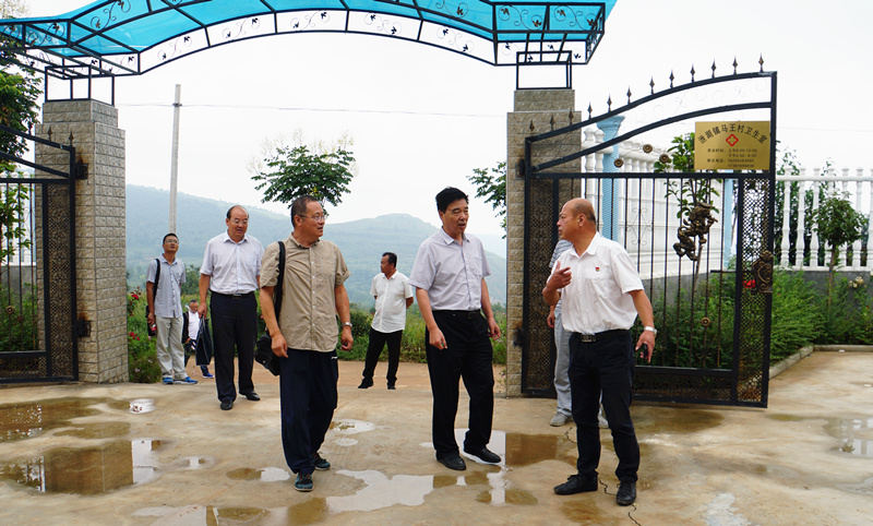 1566379504937791.jpg 7.jpg